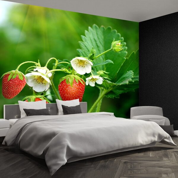 Fototapeta Vliesová Zelené jahody 152x104 cm