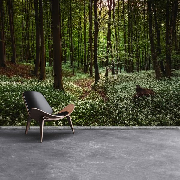 Fototapeta Vliesová Jarní les 104x70 cm