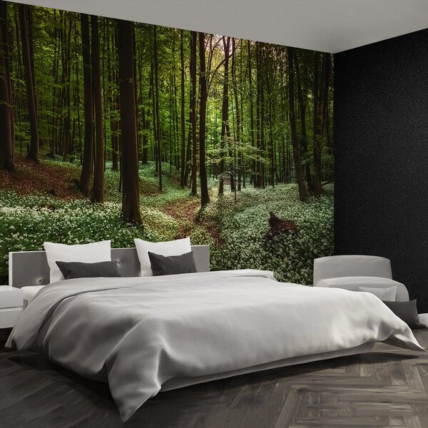 Fototapeta Vliesová Jarní les 104x70 cm