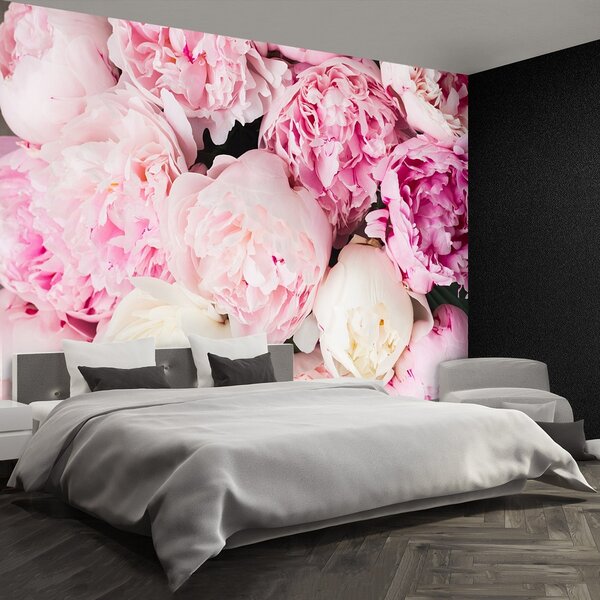 Fototapeta Vliesová Ružové pivónie 152x104 cm