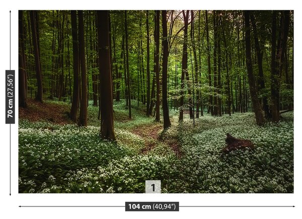 Fototapeta Vliesová Jarní les 104x70 cm