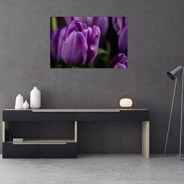 Obraz kvetov tulipánov (90x60 cm)