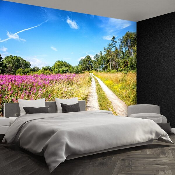 Fototapeta Vliesová Kvitnúce lúka 152x104 cm