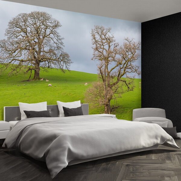 Fototapeta Vliesová Jeleň 104x70 cm