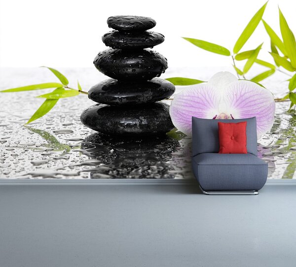 Fototapeta Vliesová Kamene a orchidea 104x70 cm