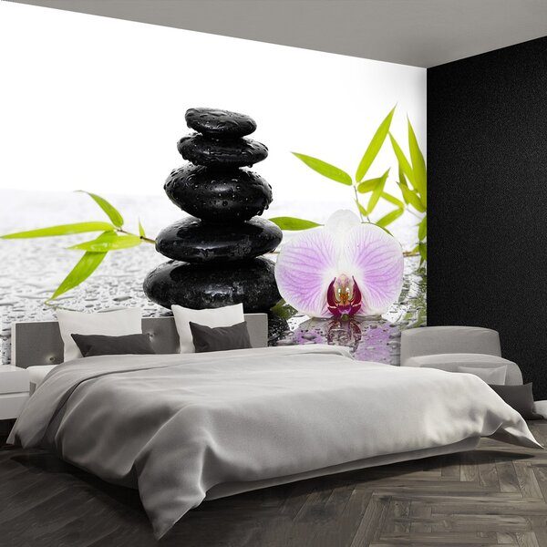 Fototapeta Vliesová Kamene a orchidea 104x70 cm