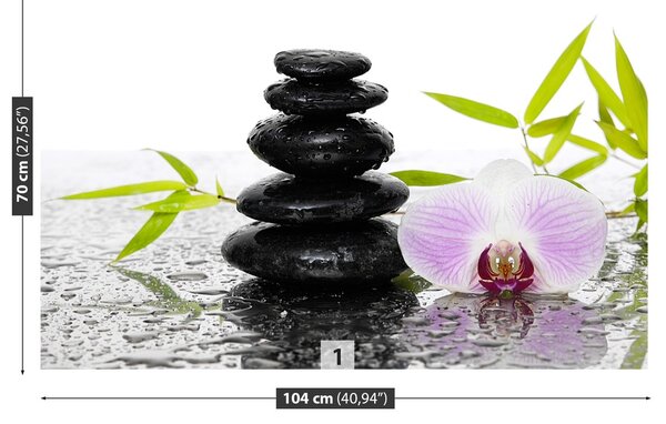 Fototapeta Vliesová Kamene a orchidea 104x70 cm