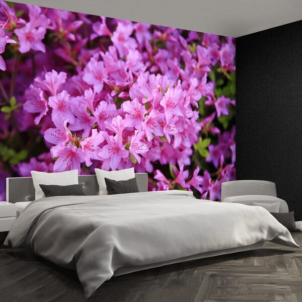 Fototapeta Vliesová Rhododendron ružový 104x70 cm