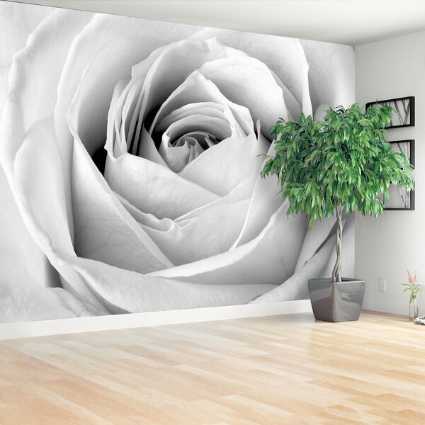 Fototapeta Vliesová Biela ruža 104x70 cm