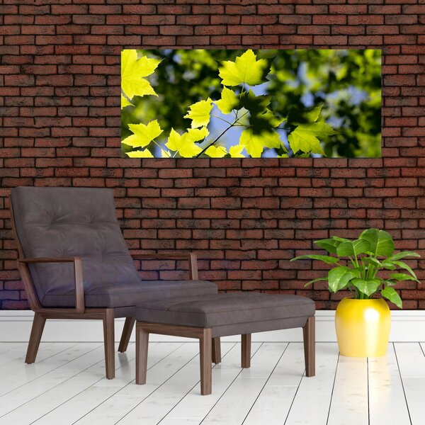 Obraz - javorové listy (120x50 cm)