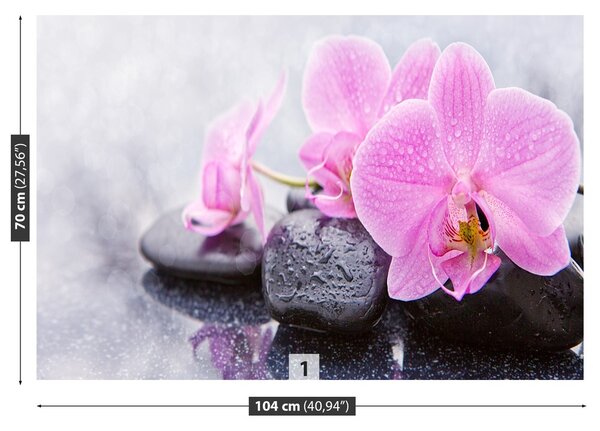 Fototapeta Vliesová Orchidea kamene 104x70 cm
