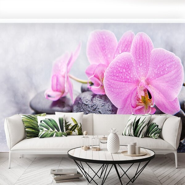 Fototapeta Vliesová Orchidea kamene 104x70 cm