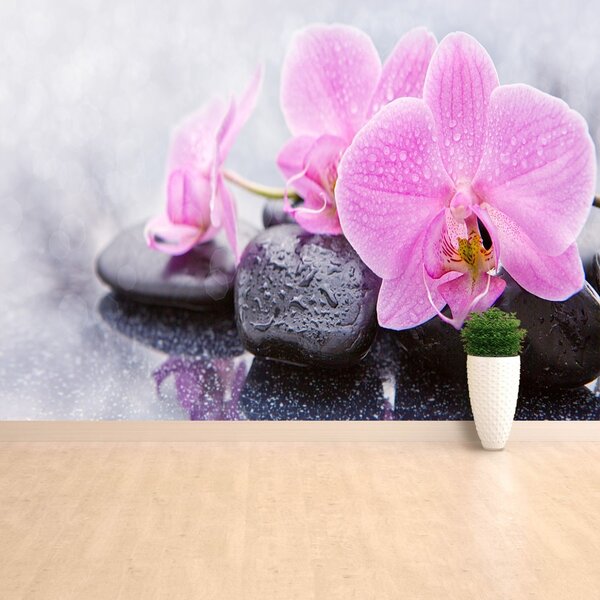 Fototapeta Vliesová Orchidea kamene 104x70 cm