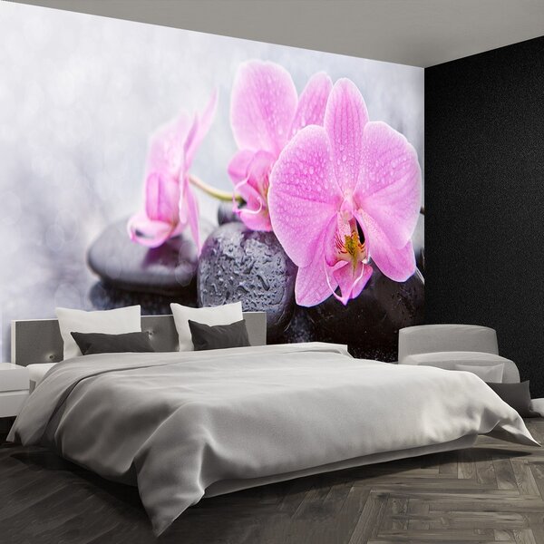 Fototapeta Vliesová Orchidea kamene 104x70 cm