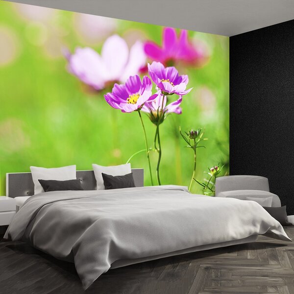 Fototapeta Vliesová Vesmír ružový 152x104 cm