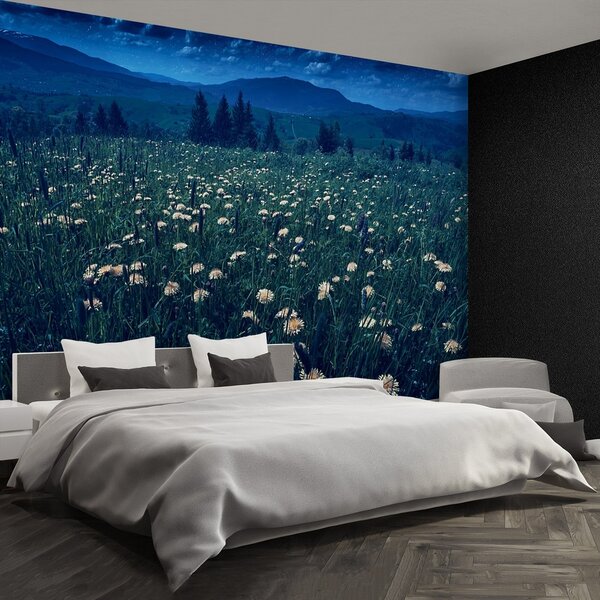 Fototapeta Vliesová Žlté púpavy 152x104 cm