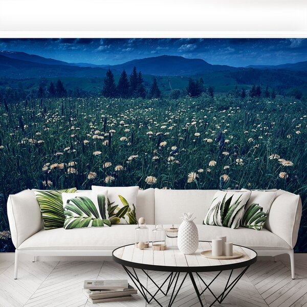 Fototapeta Vliesová Žlté púpavy 152x104 cm