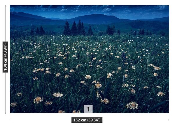 Fototapeta Vliesová Žlté púpavy 152x104 cm