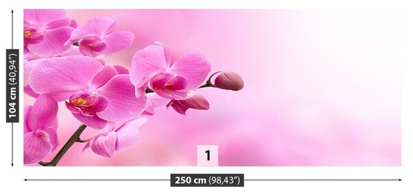 Fototapeta Vliesová Ružová orchidea 250x104 cm