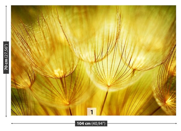 Fototapeta Vliesová Púpava zlatá 104x70 cm