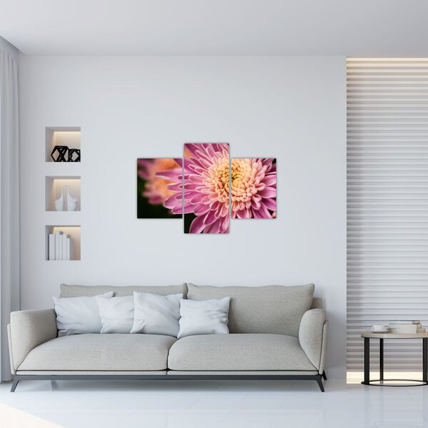 Detailný obraz kvetu (90x60 cm)