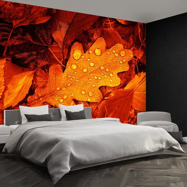 Fototapeta Vliesová Dubový list 104x70 cm
