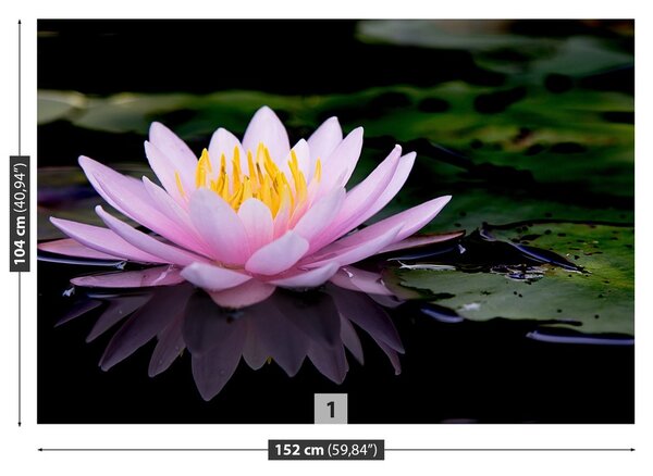 Fototapeta Vliesová Ružový lotos 152x104 cm