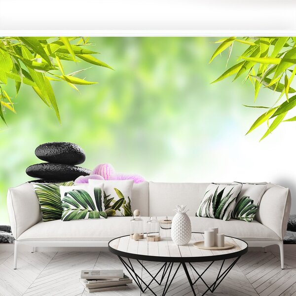 Fototapeta Vliesová Orchidea a kamene 152x104 cm