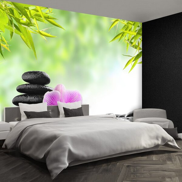 Fototapeta Vliesová Orchidea a kamene 152x104 cm
