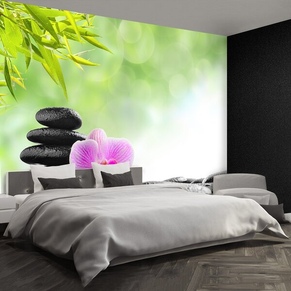 Fototapeta Vliesová Orchidea kamene 104x70 cm