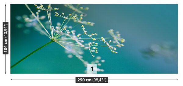 Fototapeta Vliesová Kvetinový kôpor 250x104 cm