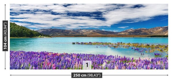 Fototapeta Vliesová Jazero nový zéland 250x104 cm