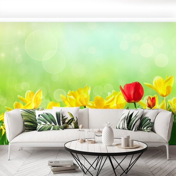 Fototapeta Vliesová Žlté tulipány 152x104 cm
