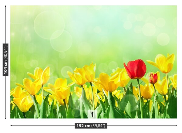 Fototapeta Vliesová Žlté tulipány 152x104 cm
