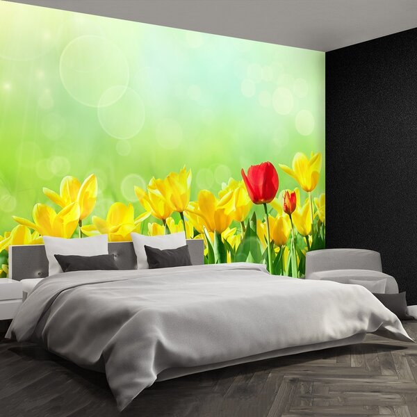 Fototapeta Vliesová Žlté tulipány 152x104 cm