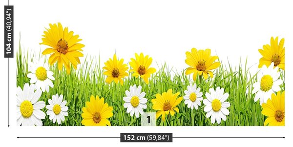 Fototapeta Vliesová Grass harmanček 152x104 cm