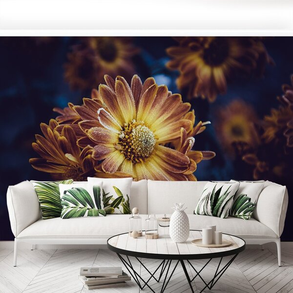 Fototapeta Vliesová Žltý kvet 152x104 cm