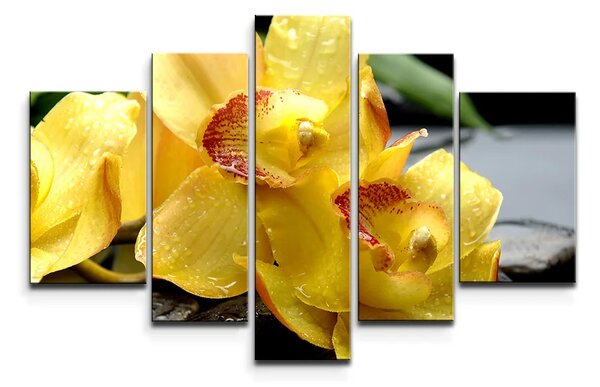 Sablio Obraz - 5-dílný Žltá Orchidey - 125x90 cm