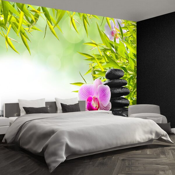 Fototapeta Vliesová Bambus a orchidea 250x104 cm