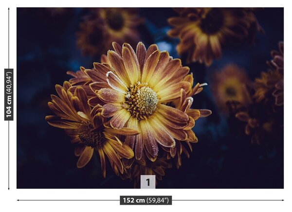 Fototapeta Vliesová Žltý kvet 152x104 cm