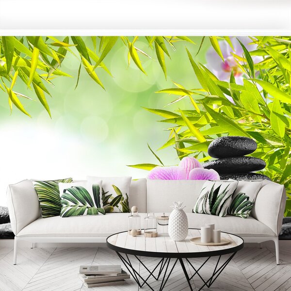 Fototapeta Vliesová Bambus a orchidea 250x104 cm