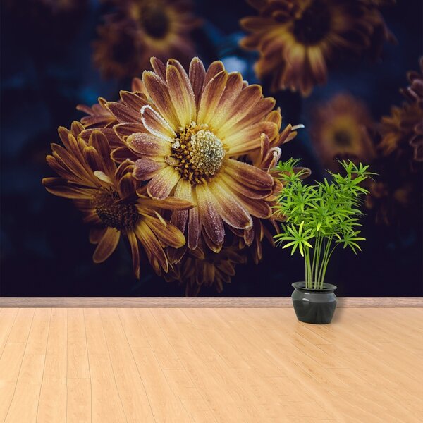 Fototapeta Vliesová Žltý kvet 152x104 cm