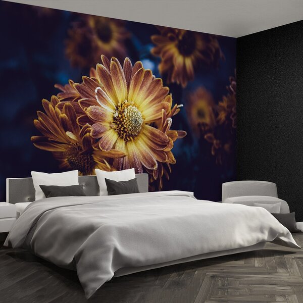 Fototapeta Vliesová Žltý kvet 152x104 cm