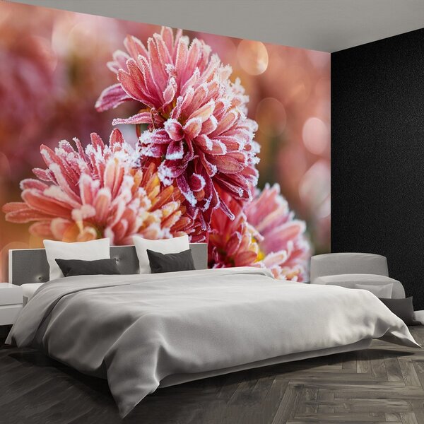 Fototapeta Vliesová Aster ice pink 104x70 cm
