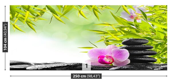 Fototapeta Vliesová Bambus a orchidea 250x104 cm