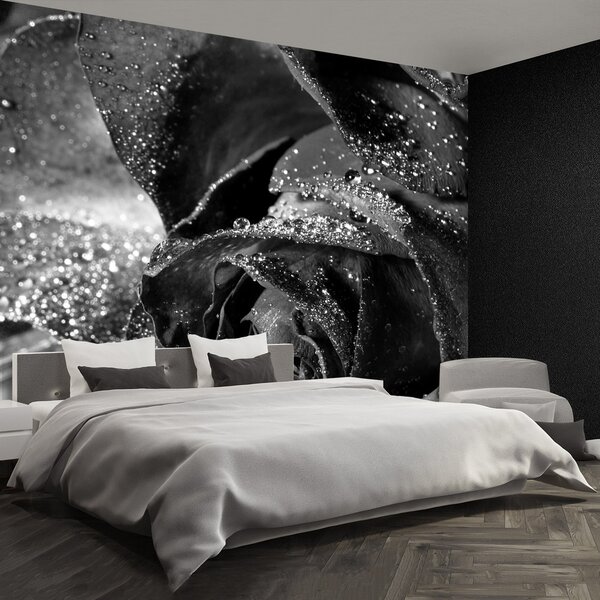 Fototapeta Vliesová Ružová voda 152x104 cm