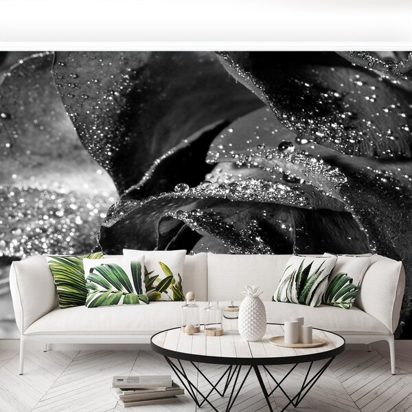 Fototapeta Vliesová Ružová voda 152x104 cm