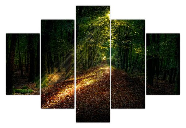 Obraz lesnej cesty (150x105 cm)