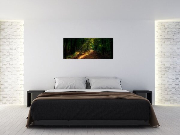 Obraz lesnej cesty (120x50 cm)