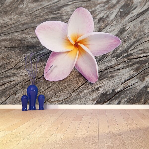Fototapeta Vliesová Frangipani wood 104x70 cm